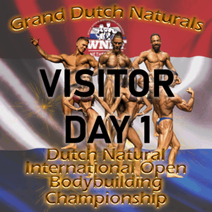 Visitor ticket - day 1