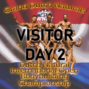 Visitor ticket - day 2